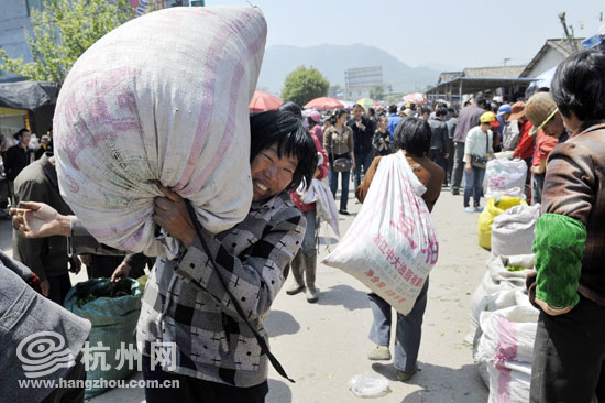 松阳县多少人口_...被拘 这个春节松阳15人在拘留所里 度假(2)