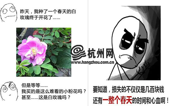  淘宝 卖的都是假花苗?这次 韩寒 都来帮忙维权 -