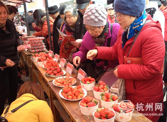 第七届建德新安江草莓节多项活动盼你体验精彩