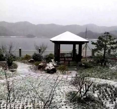 下雪啦！杭州迎来今冬第一场雪！