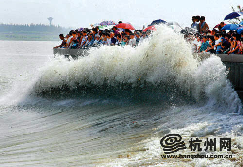 八月十八的钱江大潮来了 杭州网直播给你看