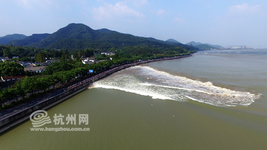 钱塘江水溢出来了 杭州网记者航拍大潮震撼人