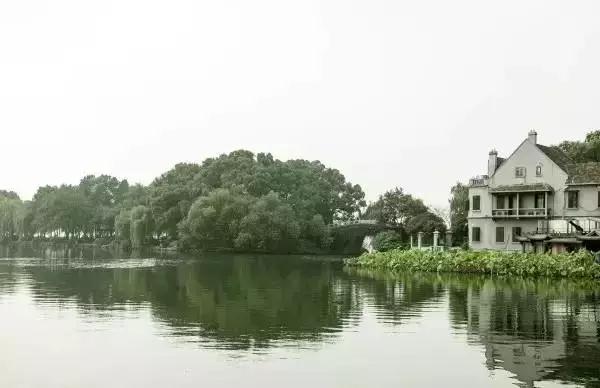 众所周知，“苏堤”的由来是杭州人民为纪念苏东坡治理西湖的功绩而命名。如今的苏堤一年四季都是绿树林荫的感觉。有柳树、有梧桐，也有其他绿树花草