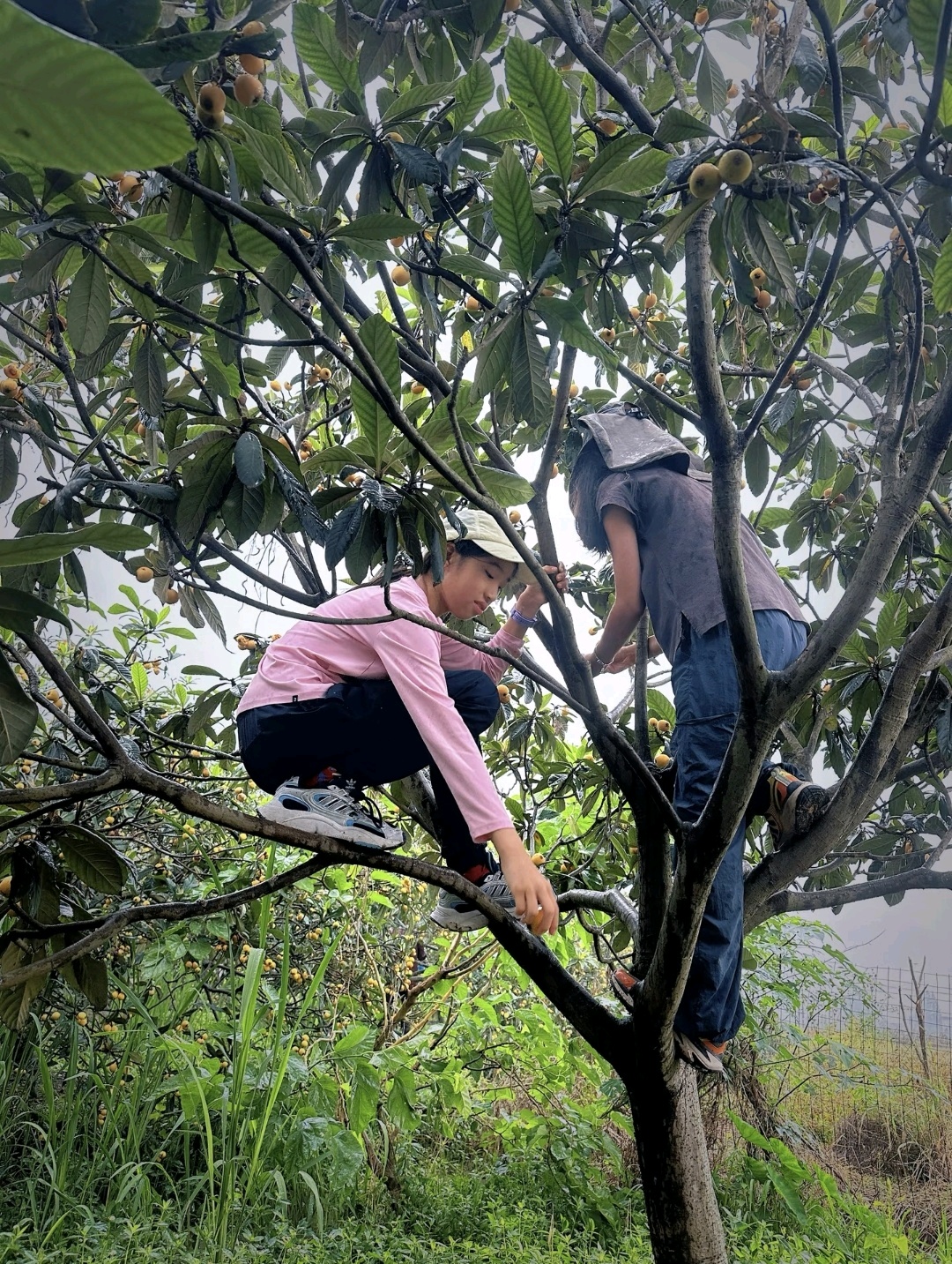 网友占西 供图