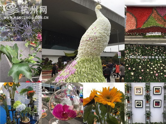 杭州(江干)第六届都市花卉节周末开幕