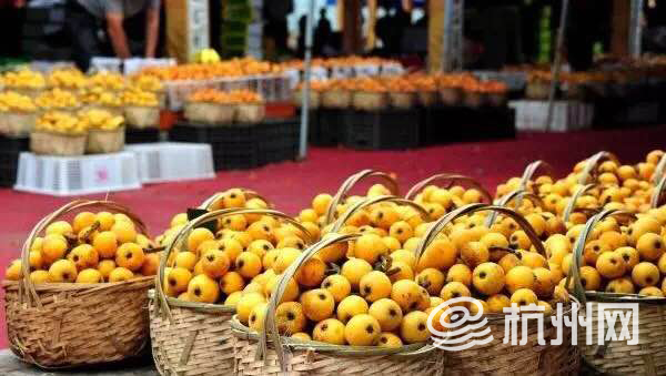 直播:来塘栖吃枇杷啦 第二十届塘栖枇杷节今天开幕