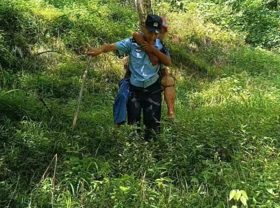 村民在山上被五步蛇咬伤 为抢救援时间他们轮流把伤者背下山_杭州网