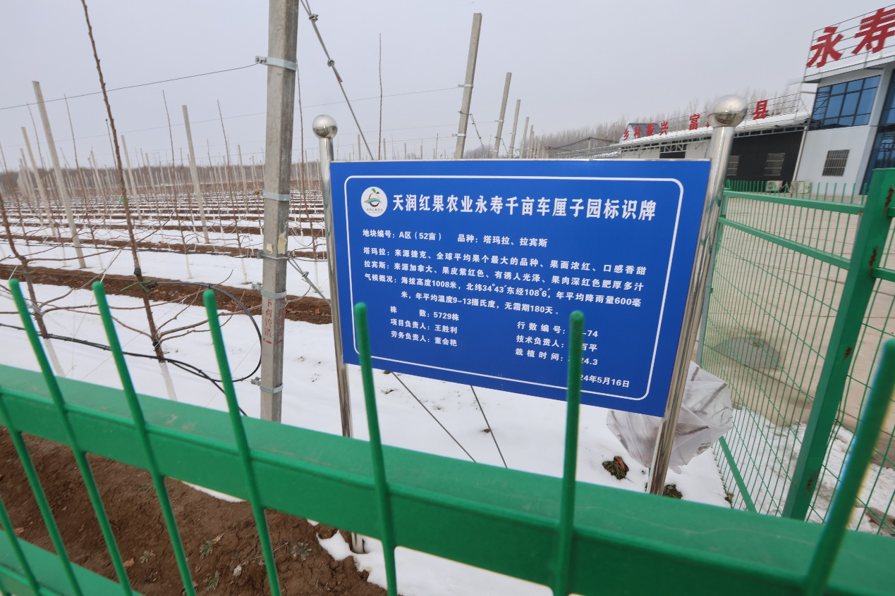 配图6