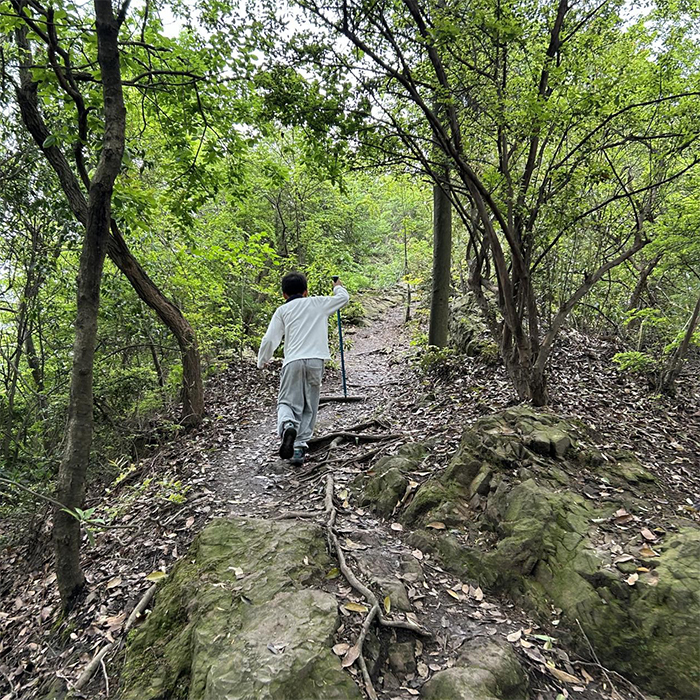 网友“兔子跳跳”带孩子挑战癞子山