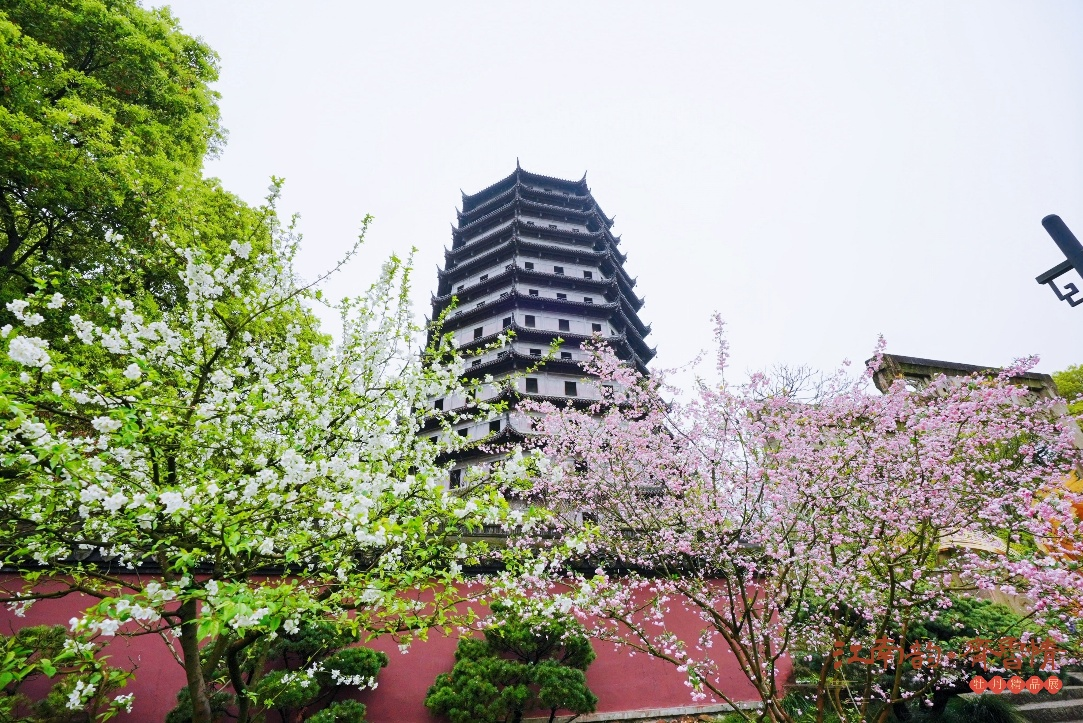 配图16