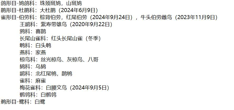 观鸟社统计校园里的鸟类 配图5