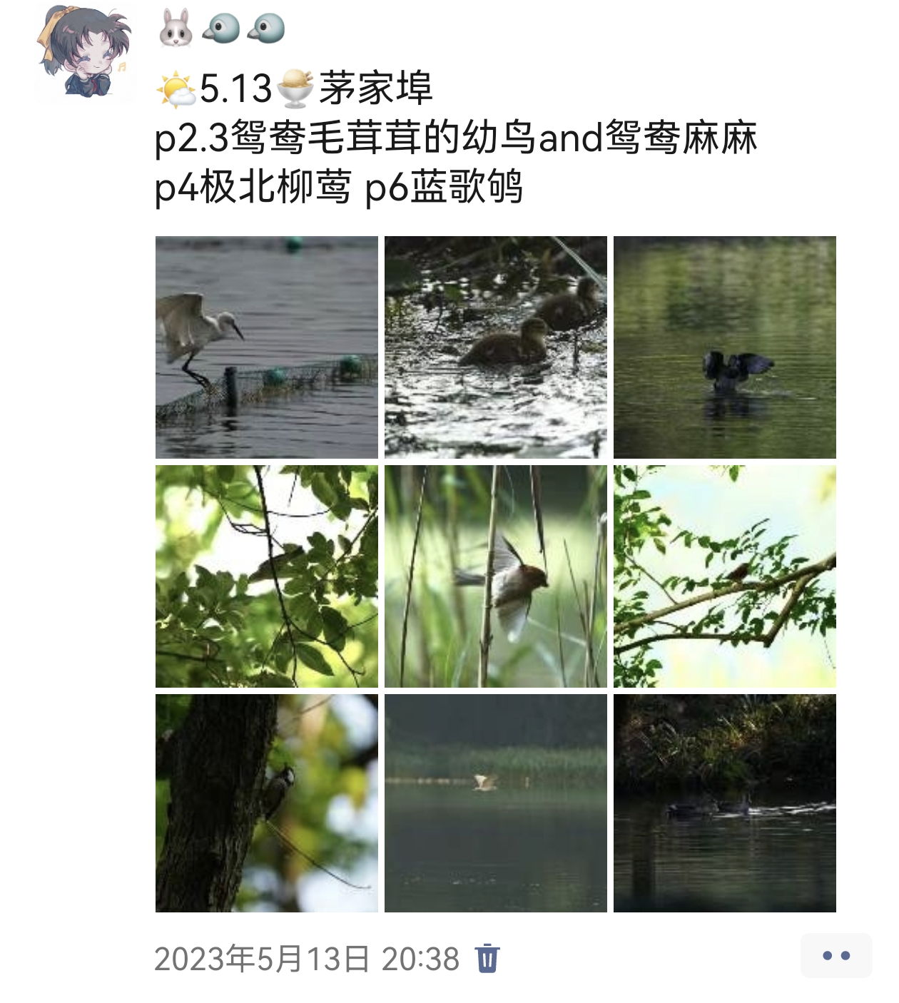 钱彧佳的观鸟记录 配图8