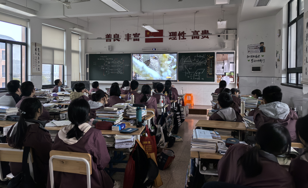 观鸟社在观看鸟类纪录片 配图6