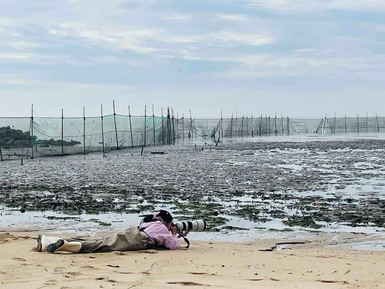 钱彧佳在假期观鸟 配图7