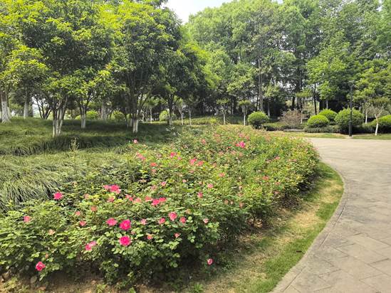 f3def6a971a47010ceb7e2a7ee95074