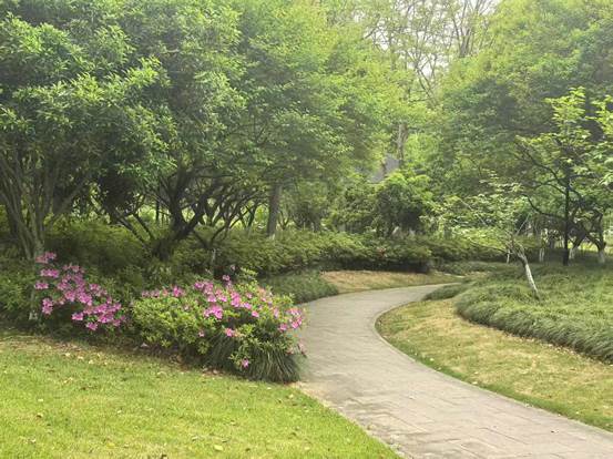 3363c6d10da651c5152a66111fa68c3