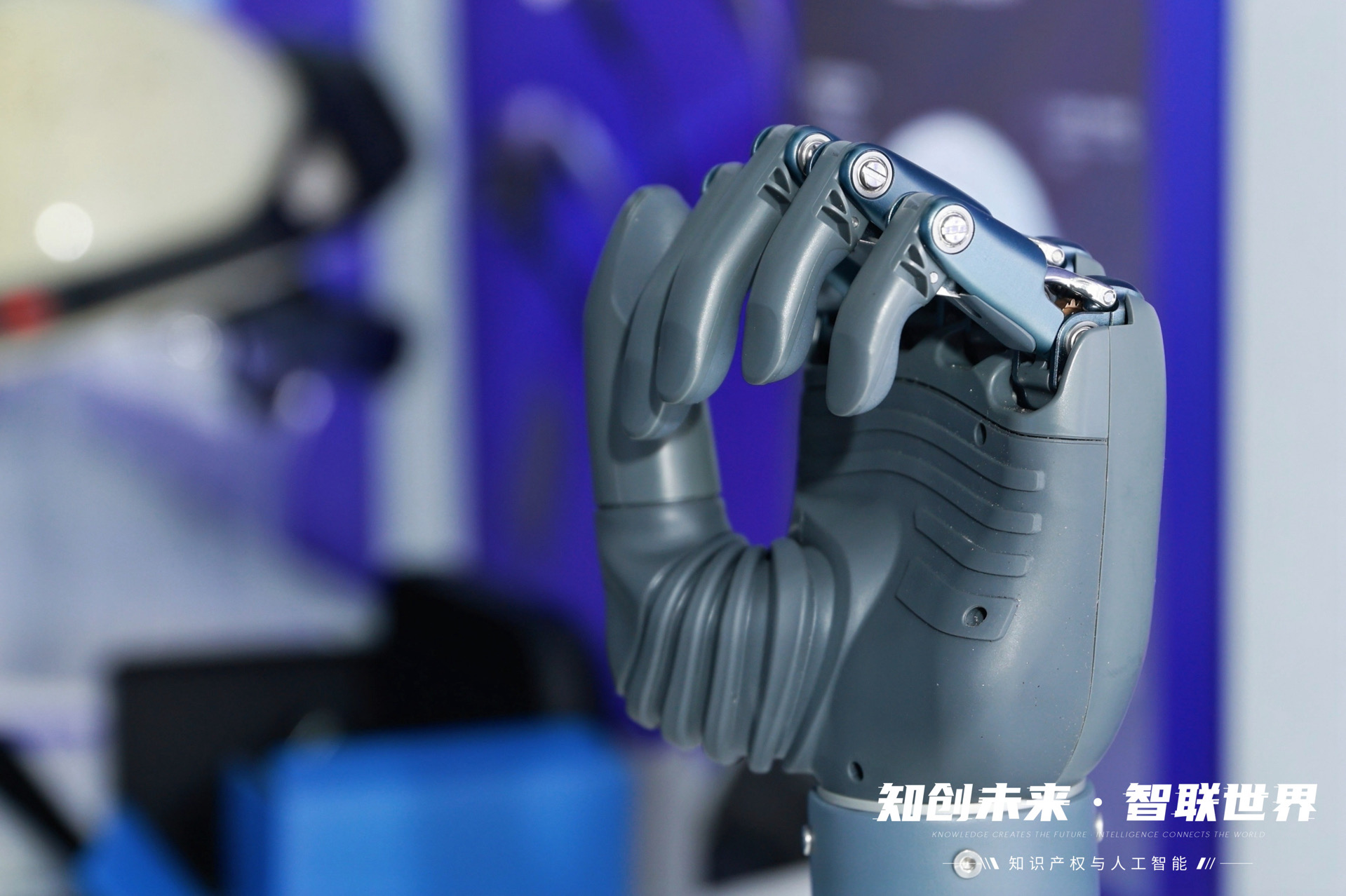 杭知AI”上线！全国首个数字知识产权官亮相杭州