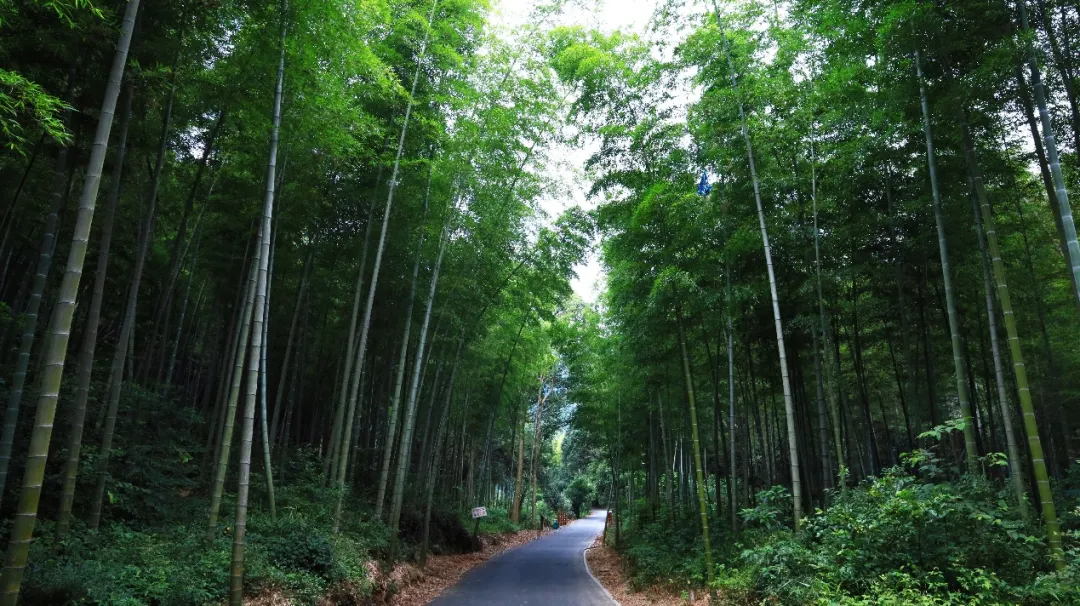 △ 西山国家森林公园步道 配图6