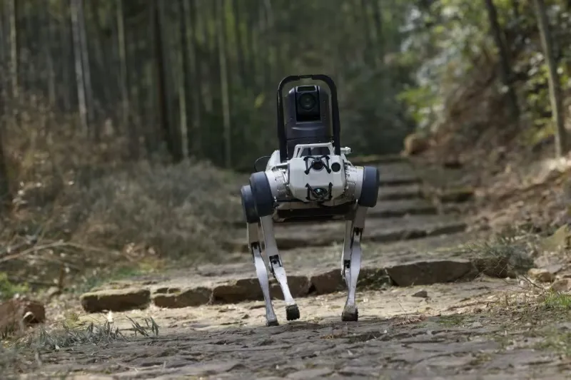 △四足机器人巡林 配图5