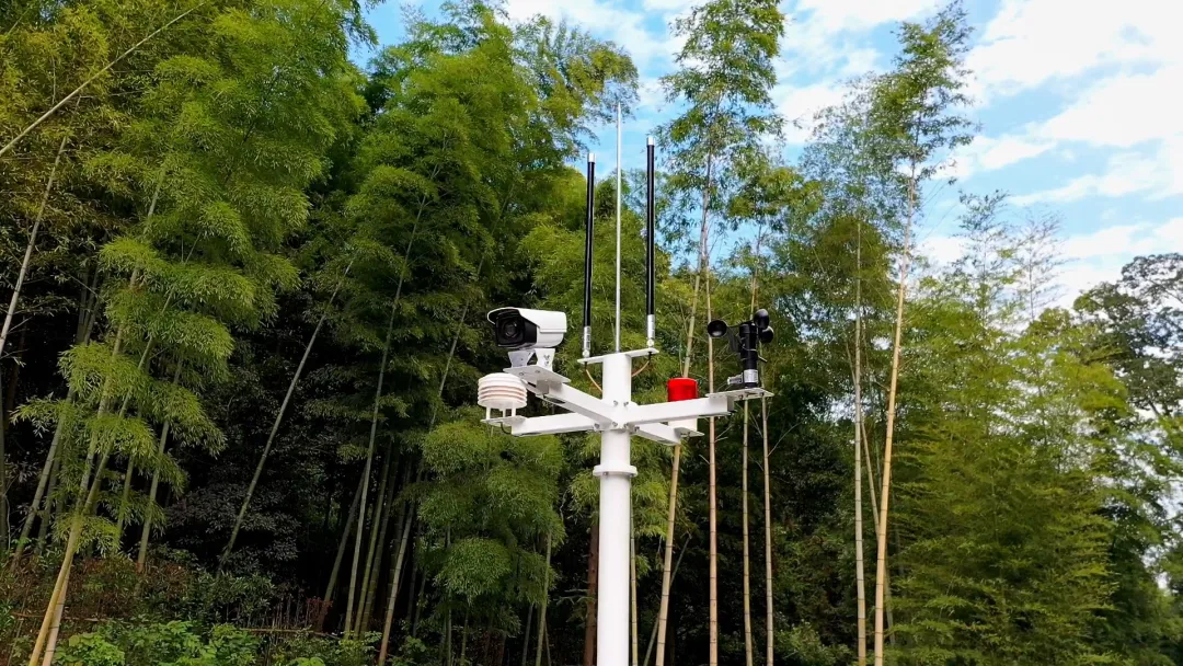 △ 西山国家森林公园中的智能感知设备 配图1