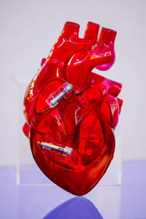 植入式无导线心脏起搏器示意图