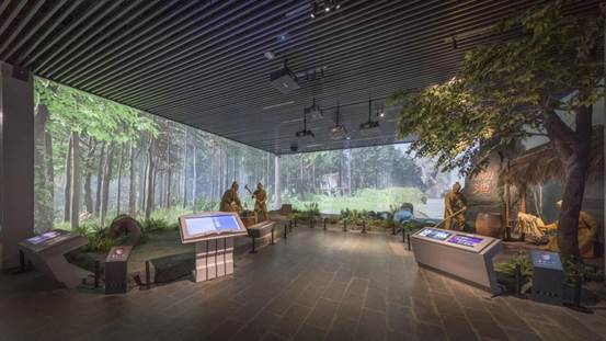 db8c4e9c8bd9baa8e4fcab502c66f069