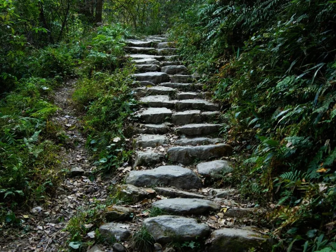 △龙门山古道(来源:富阳文旅) 配图4