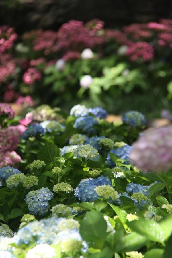 配图3