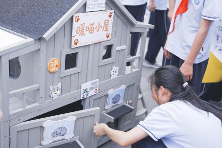 配图5