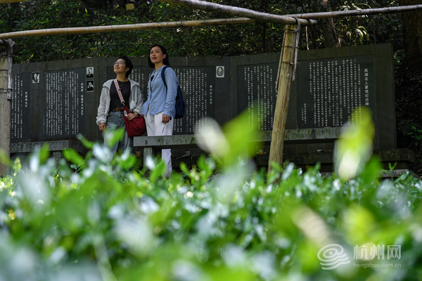 郭为民望着这条“手搓”出来的石板路告诉记者,等梅雨季过去,要把这最后几十米的路铺完 配图14