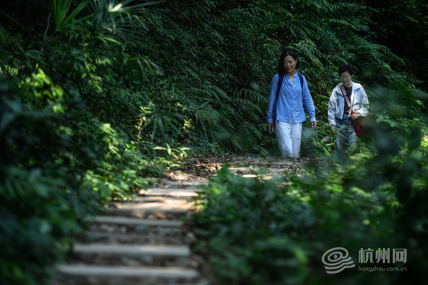 一束阳光透过层层树叶,洒在郭为民(图左)和冯慧川(图右)新铺的石板路上 配图1
