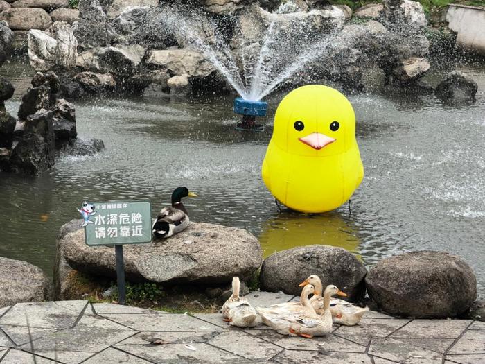 配图2