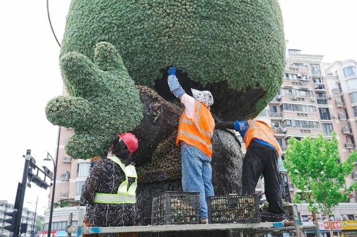 配图4