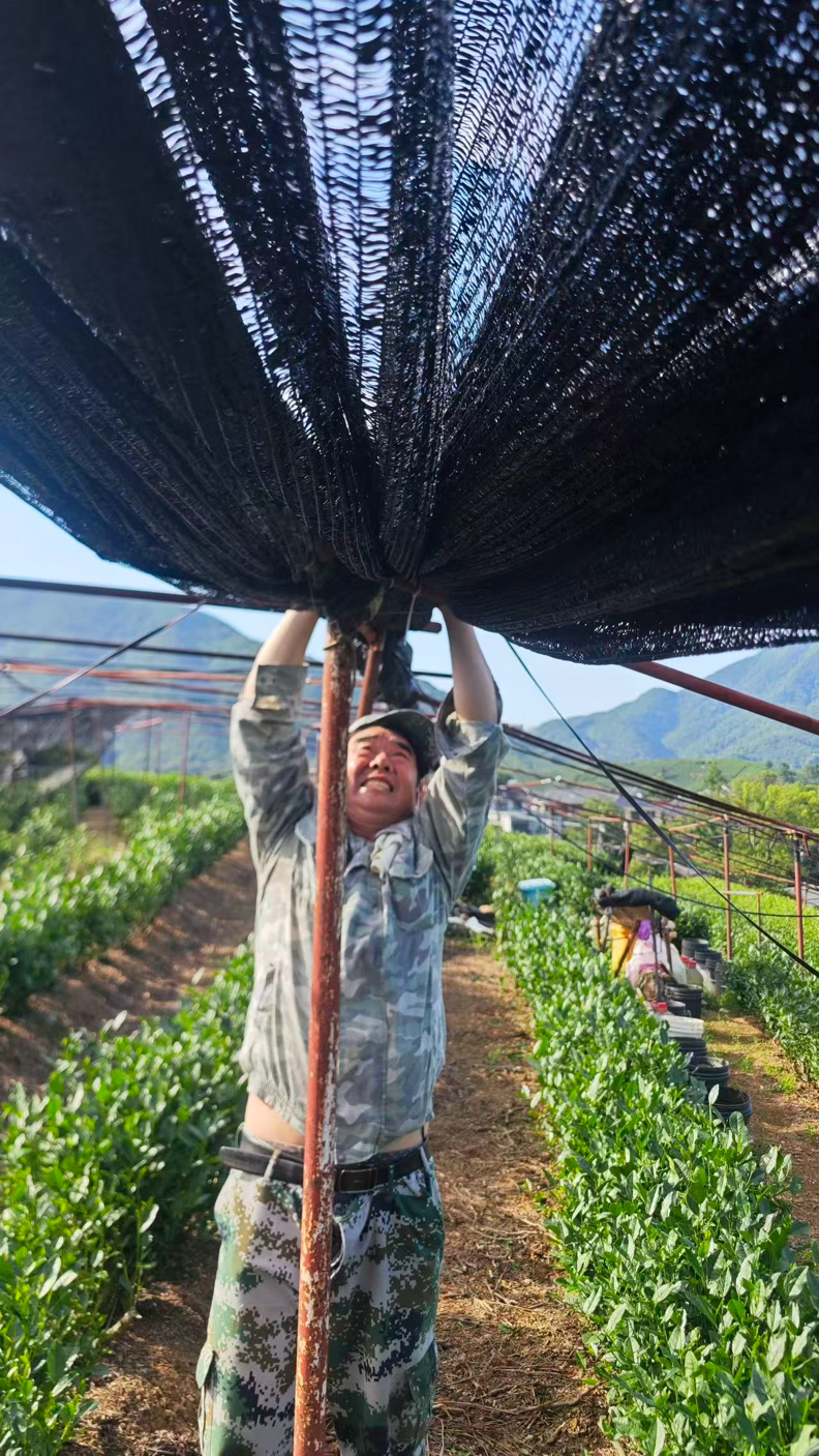 配图1