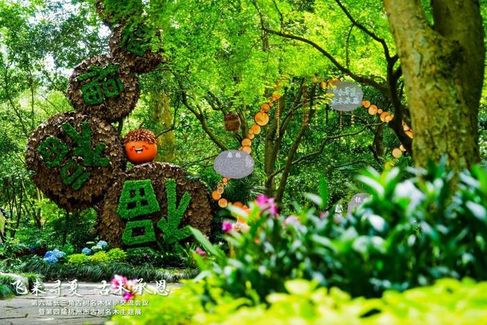 配图1