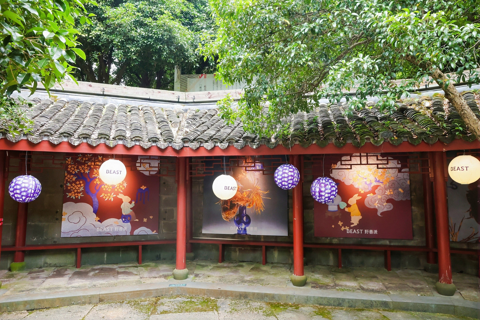 配图9