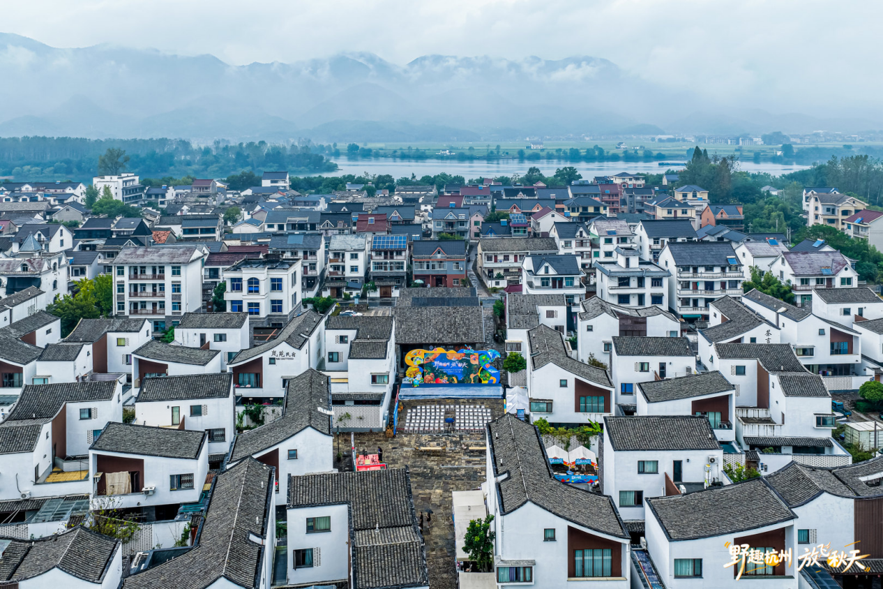配图11