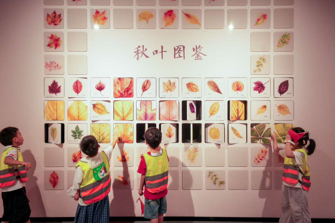 配图4