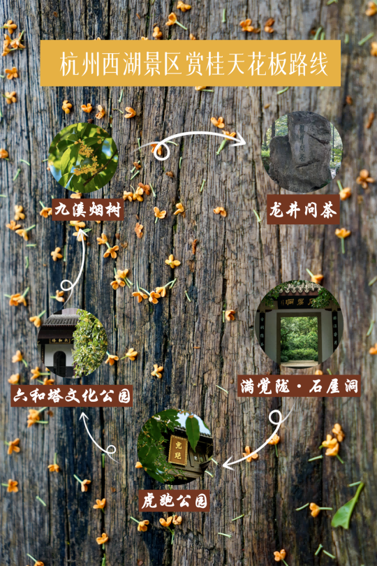 配图4