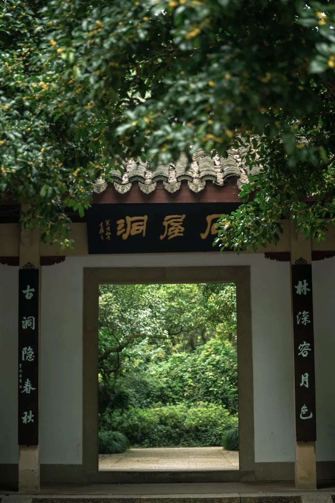 配图5