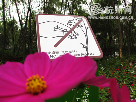 警示牌与花朵相映成趣.