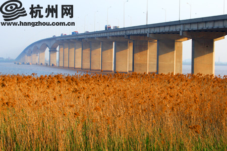 凭啥要你去钱江之七 钱江六桥 (组图)