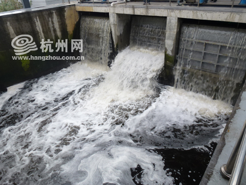 处理过后的污水排放入钱塘江内.