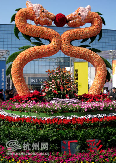 5万多盆鲜花扮靓庆春广场 50万支鲜花构成的"花毯"夺人眼球