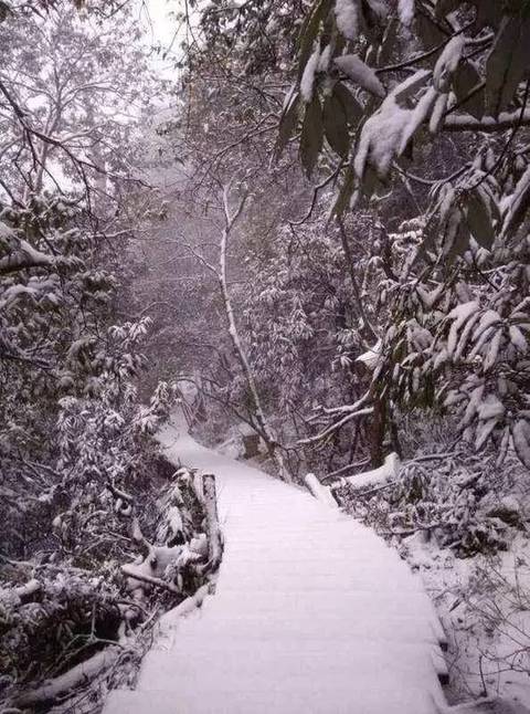 下雪啦！杭州迎来今冬第一场雪！