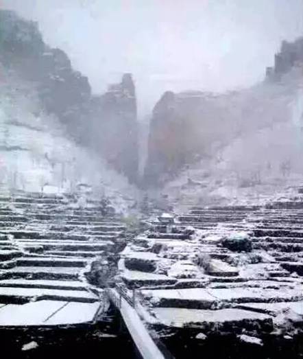 下雪啦！杭州迎来今冬第一场雪！