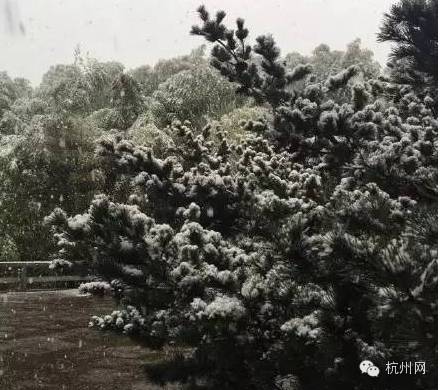 下雪啦！杭州迎来今冬第一场雪！