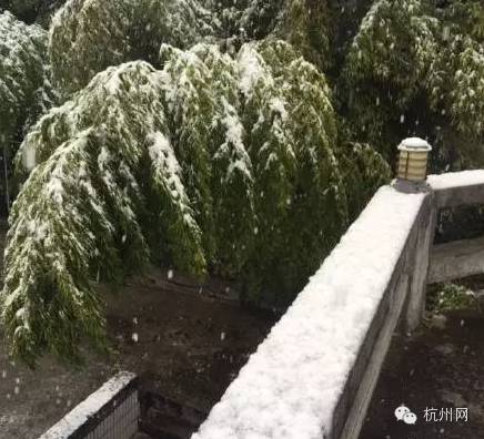 下雪啦！杭州迎来今冬第一场雪！