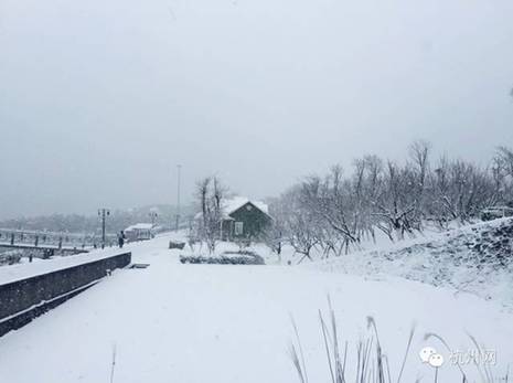 下雪啦！杭州迎来今冬第一场雪！