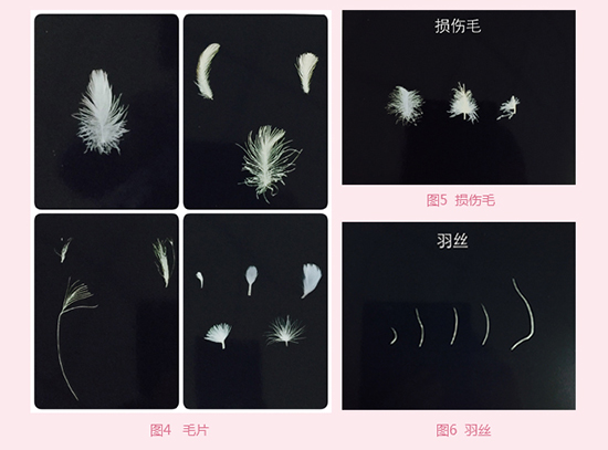 冬季来临，羽绒羽毛被是很多家庭床上用品的过冬之选，什么样的羽绒被才能称得上是合格产品呢？